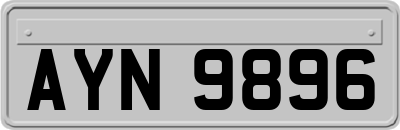 AYN9896