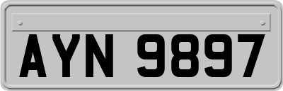 AYN9897