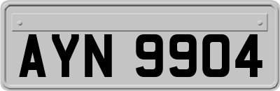 AYN9904