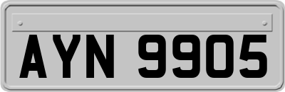 AYN9905