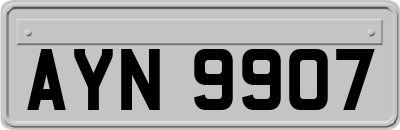 AYN9907