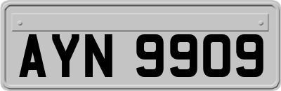 AYN9909