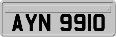 AYN9910