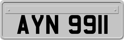 AYN9911