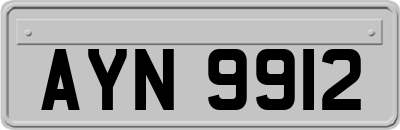 AYN9912