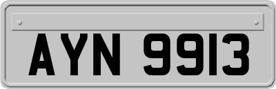 AYN9913