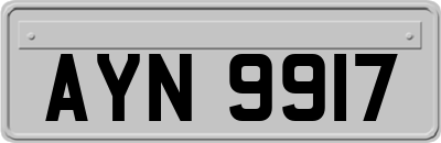 AYN9917
