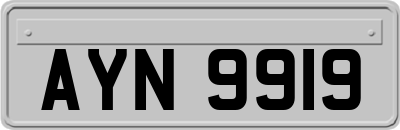 AYN9919