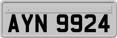 AYN9924