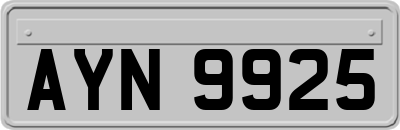 AYN9925