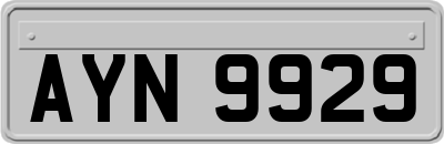 AYN9929