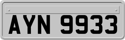 AYN9933