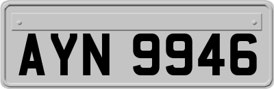 AYN9946