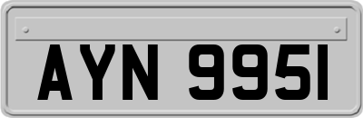 AYN9951