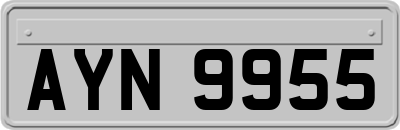 AYN9955