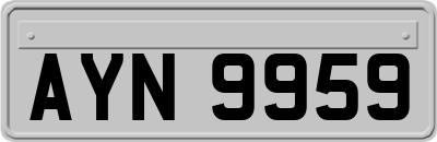 AYN9959