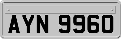 AYN9960