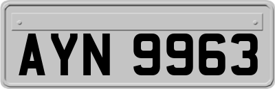AYN9963