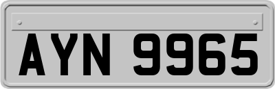 AYN9965