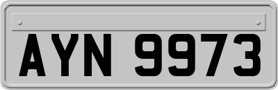 AYN9973