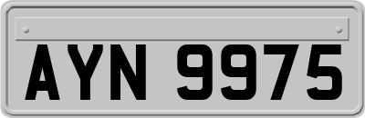 AYN9975