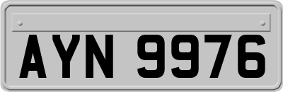 AYN9976
