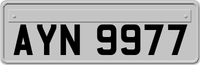AYN9977