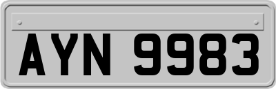 AYN9983