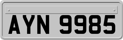 AYN9985