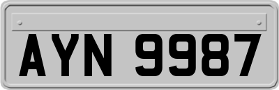 AYN9987
