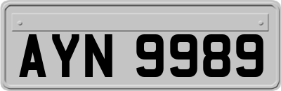 AYN9989