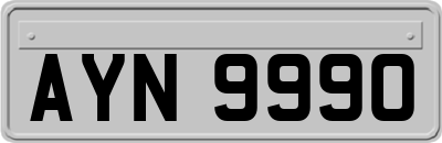 AYN9990