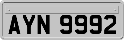 AYN9992