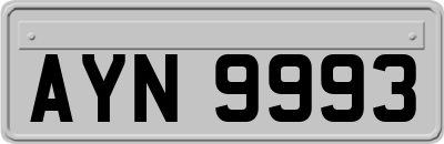 AYN9993