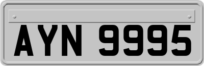 AYN9995