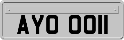 AYO0011