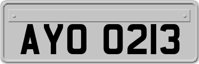 AYO0213
