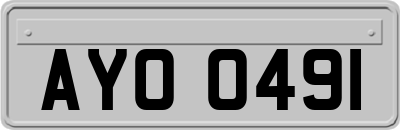 AYO0491
