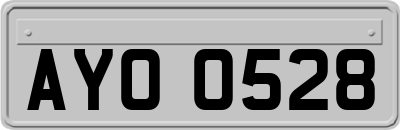 AYO0528