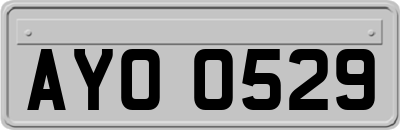 AYO0529