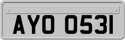 AYO0531