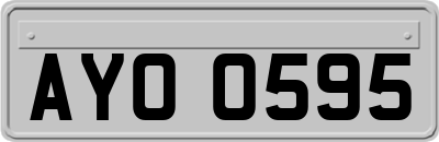 AYO0595