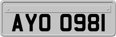 AYO0981