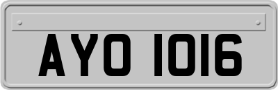 AYO1016