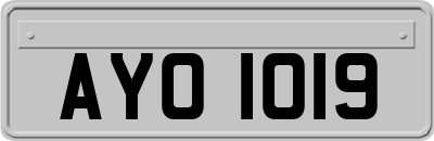 AYO1019