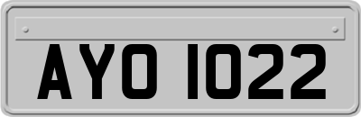 AYO1022