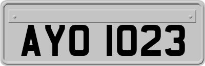 AYO1023
