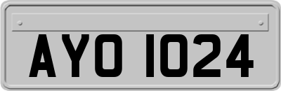 AYO1024