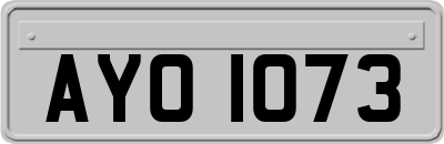 AYO1073