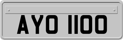 AYO1100